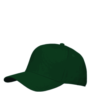 PLAYER cap green